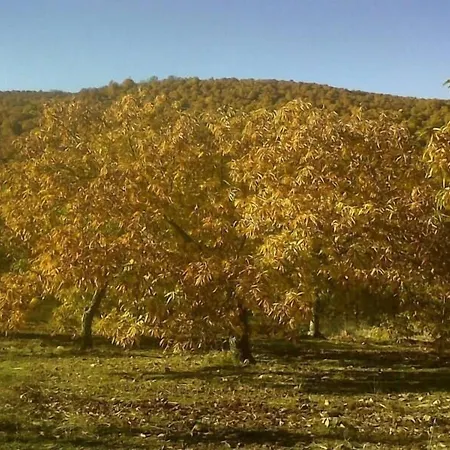 게스트하우스 Alba Taruta 2*