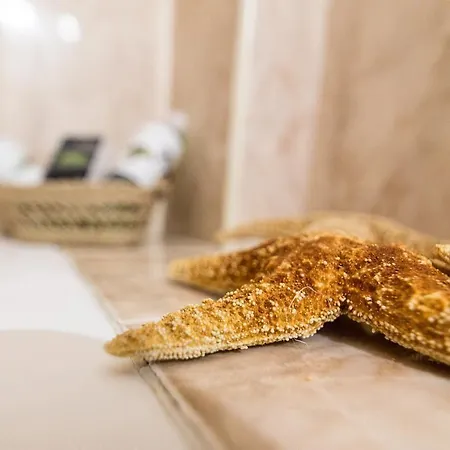 Alba Taruta 게스트하우스