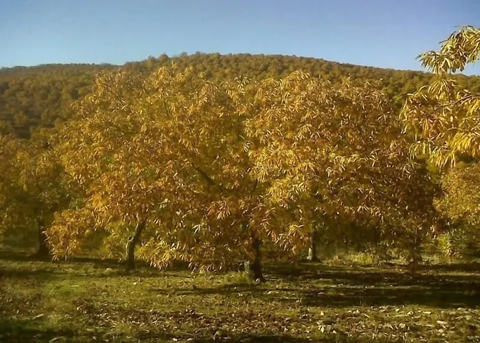 Vendégház Alba Taruta 2*